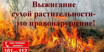Пал сухой травы: опасность и ответственность